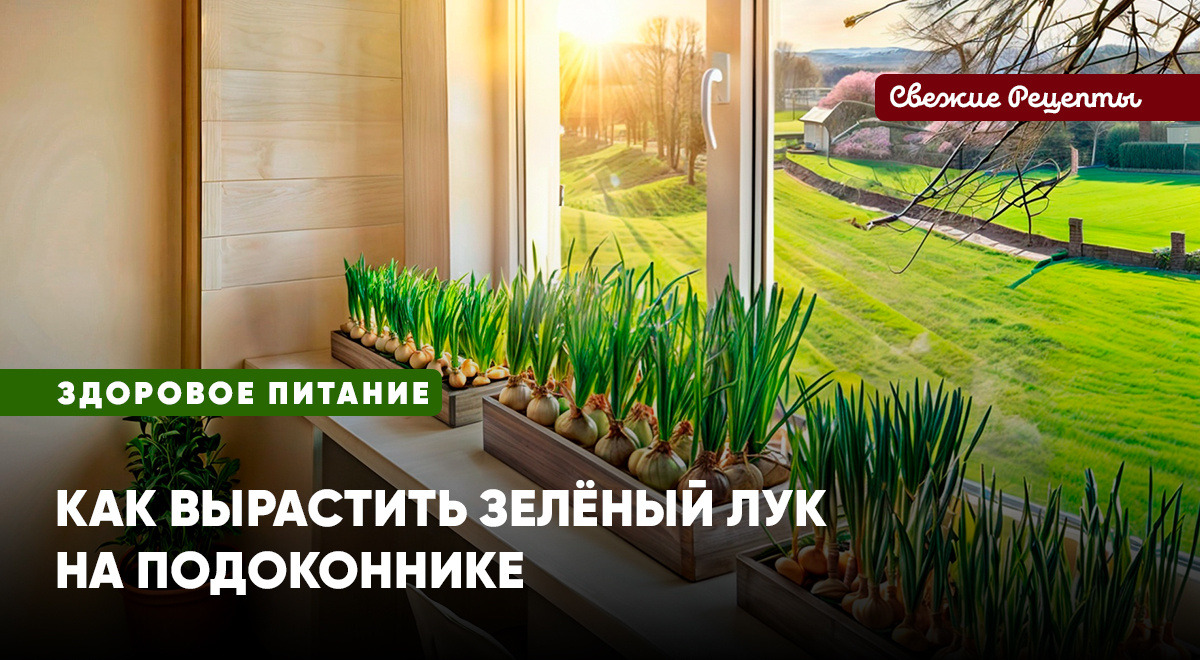 Советы по выращиванию зелени и уходу за ней в домашних условиях