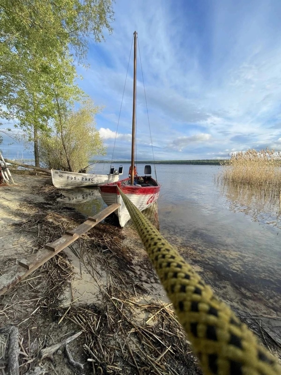 Фото из сети интернет.