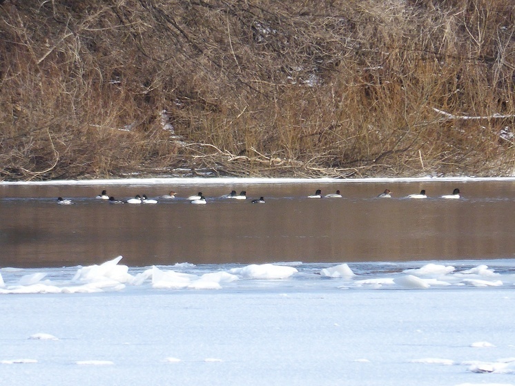     Фото: Юрий Галчёнков