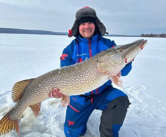    Огромная рыба едва помещается в руках