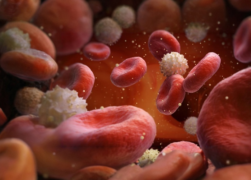 Глюкова в крови