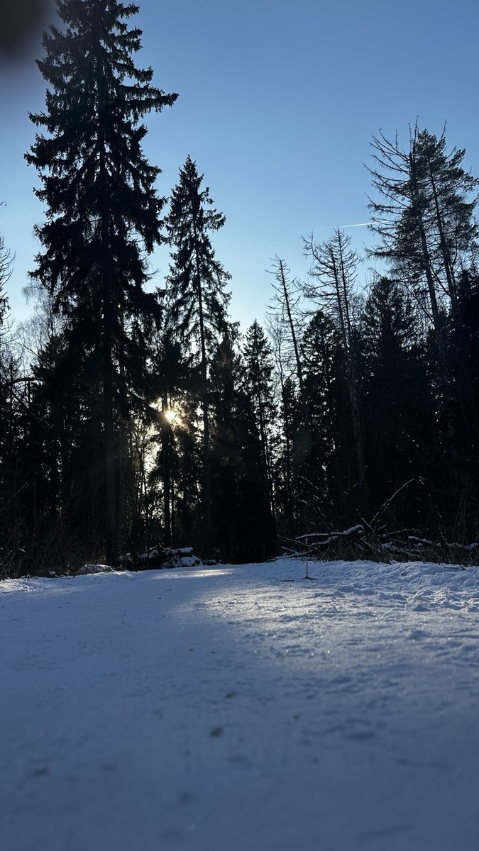 Фото: Лиса Лисовская 