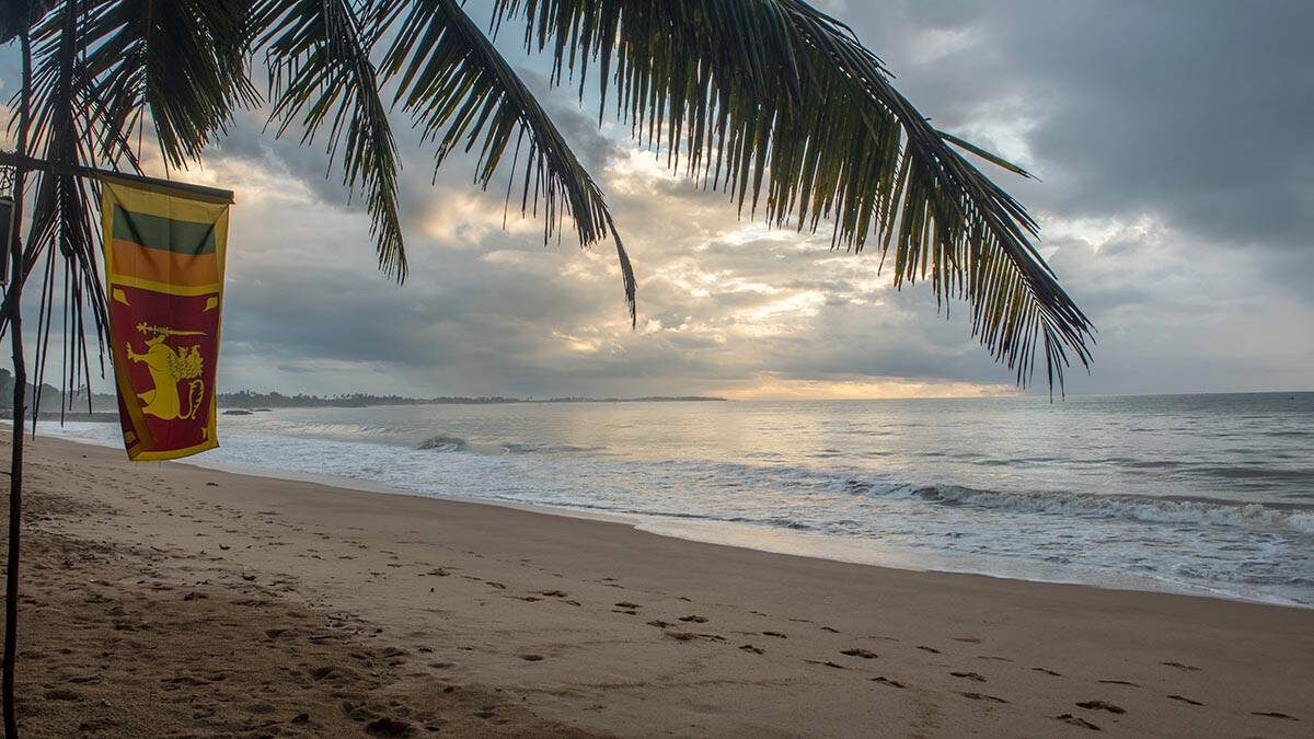    Фото: shutterstock