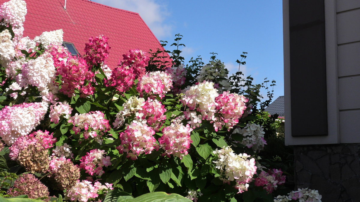 Фото автора канала Дом с кипарисами