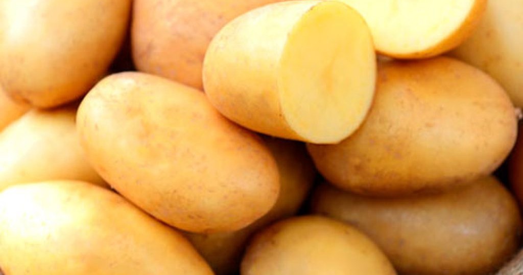 15 лучших сортов картофеля для весенней посадки