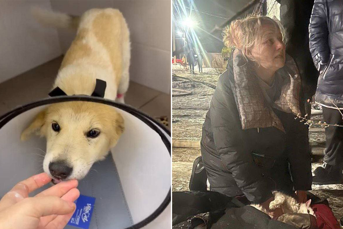 Фото: Паблик «Сила Березовского в людях» ВКонтакте  📷
