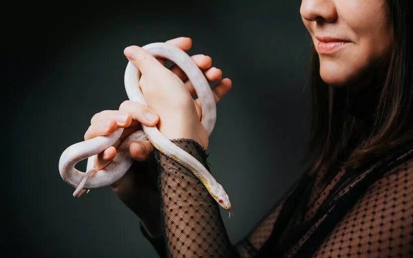    Гороскоп на 25 февраля: Весам стоит уделить внимание близким, а Тельцам провести время с семьей