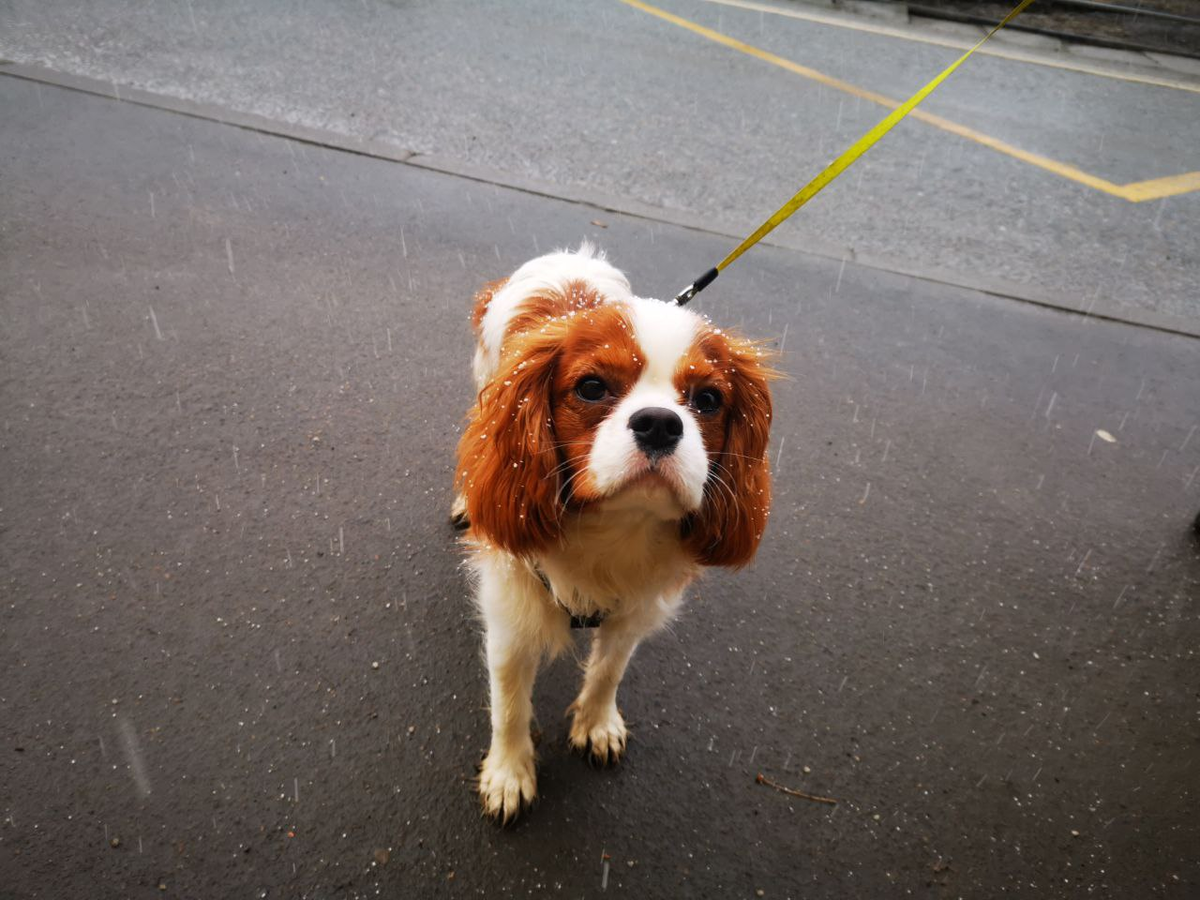 Не понимает, откуда снег в январе 2025 в Москве