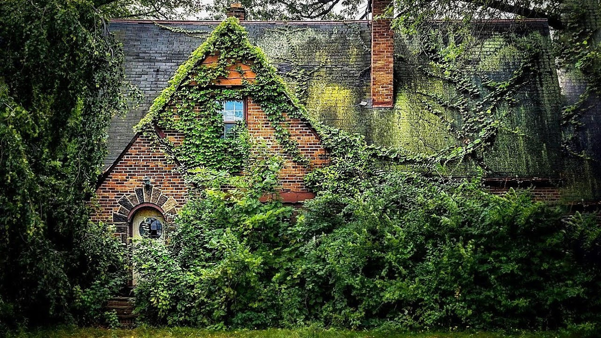 Закон о приведении земельных участков в порядок: что ждет дачников с марта 2025 года