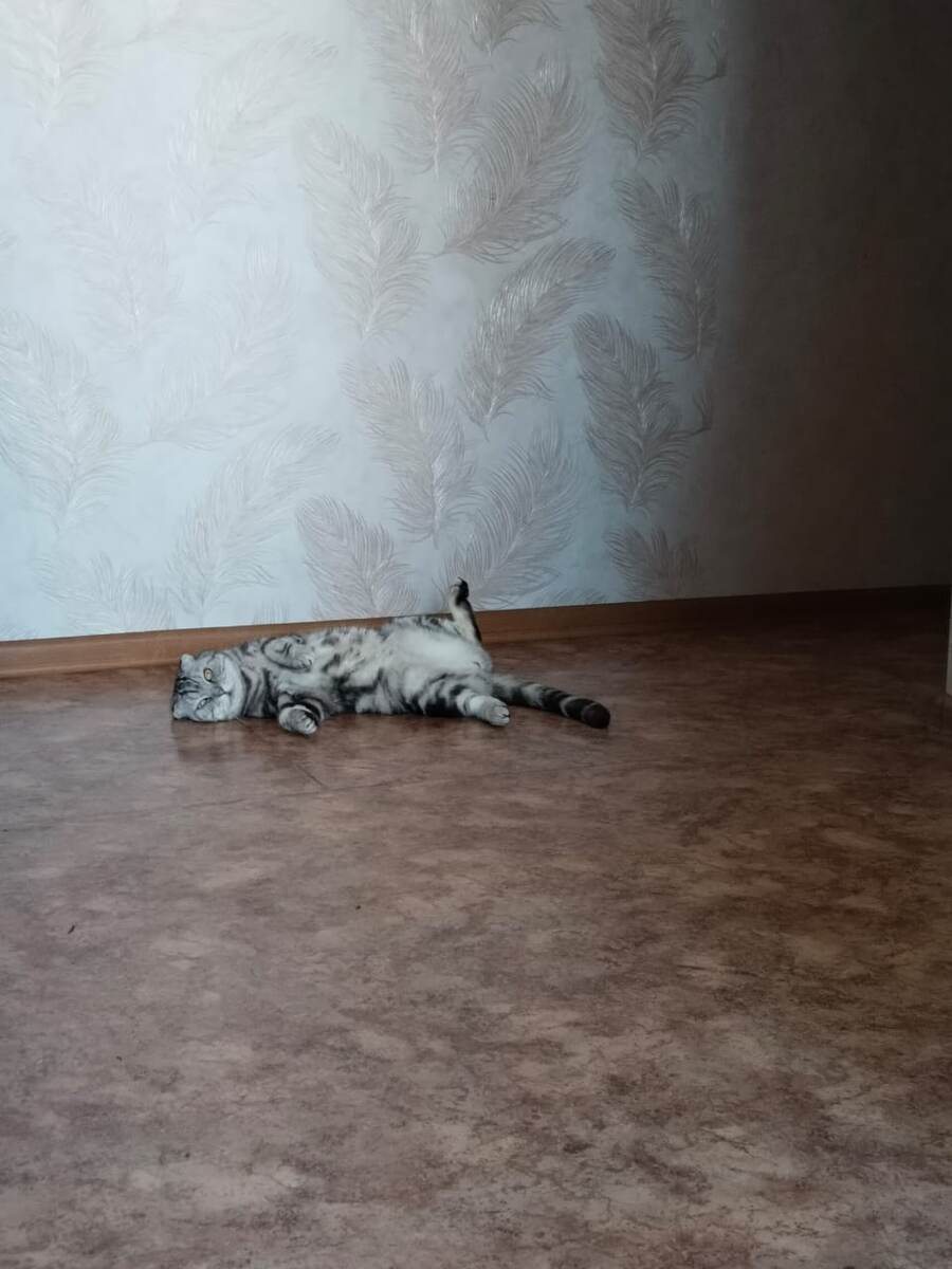 Тиша вчера тоже праздновал