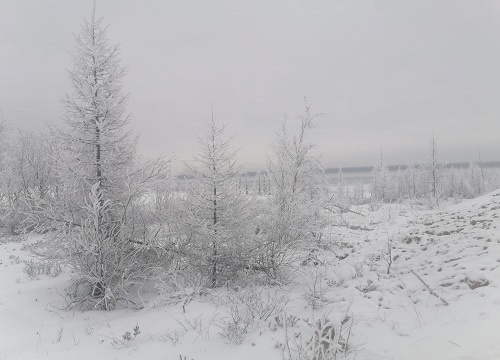 Фотография из личного архива автора