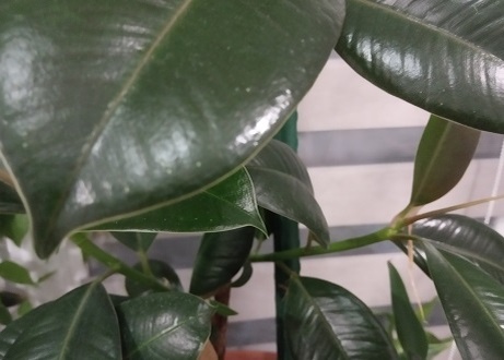 Фотография из личного архива автора