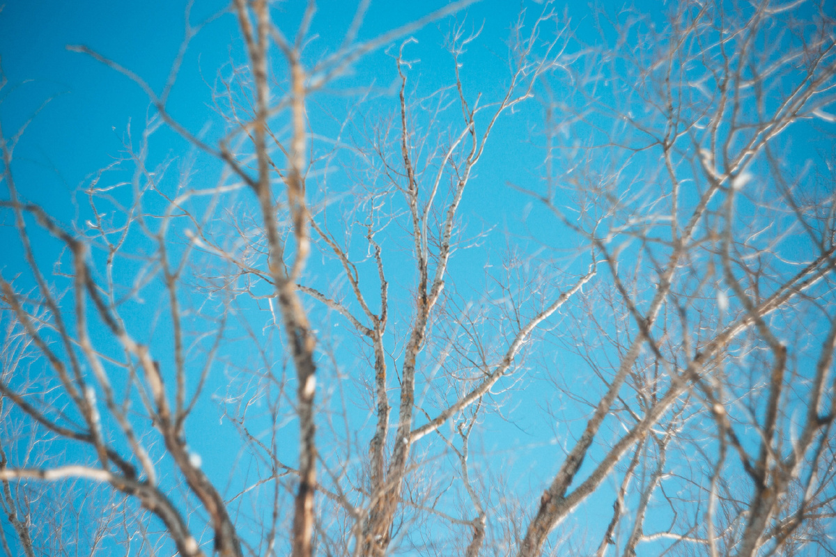 Фото: Marisha Elona