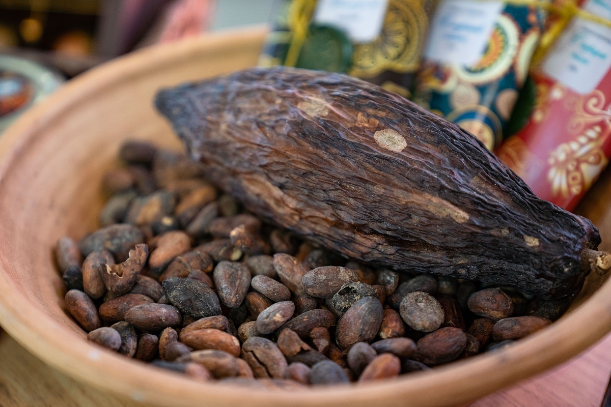 Фото: Александр Плонский / «Агроэксперт»