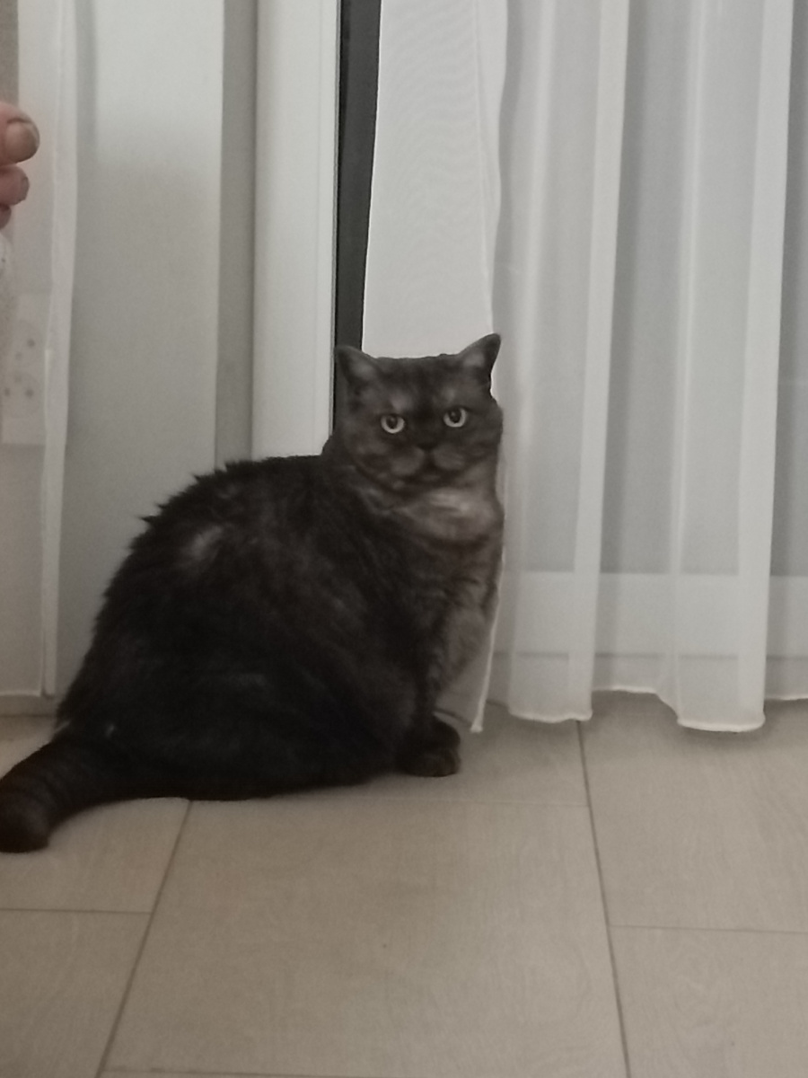 Настойчивая дама😜