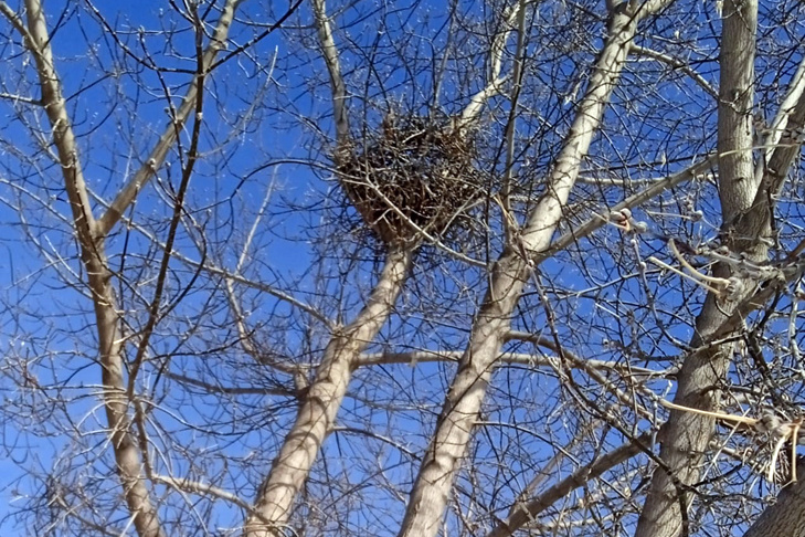 © Фото Алексея Яновского для VN.ru.📷
