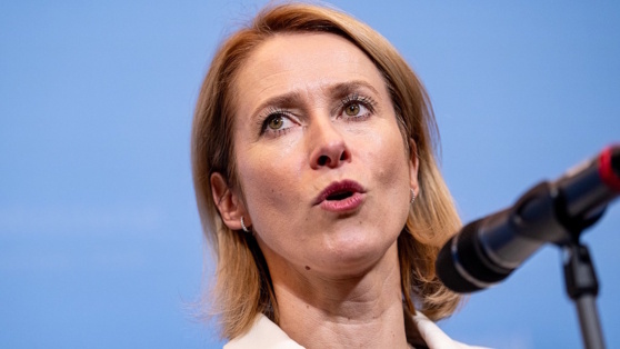    Каллас заявила, что ЕС поддерживает отказ Зеленского проводить выборы Алина Городниченко