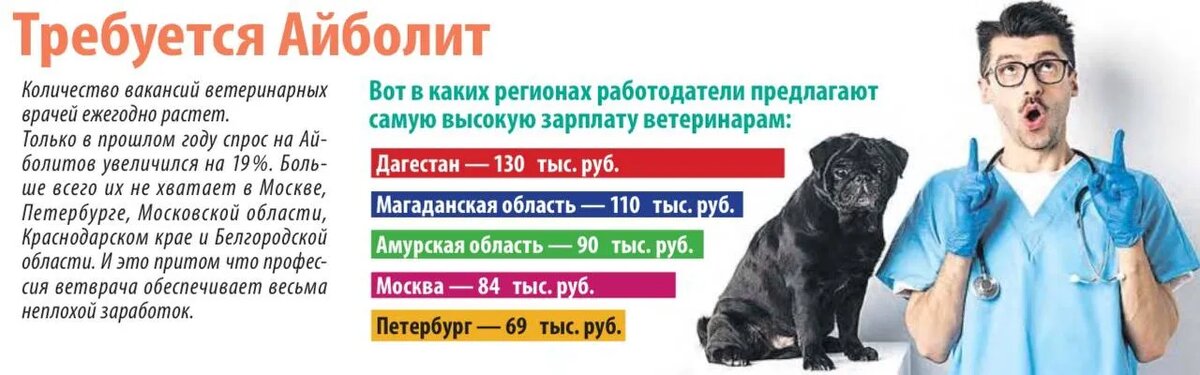 ИСТОЧНИК HeadHunter/ФОТО freepik.com/ИНФОГРАФИКА Анны ВАНЕЕВОЙ