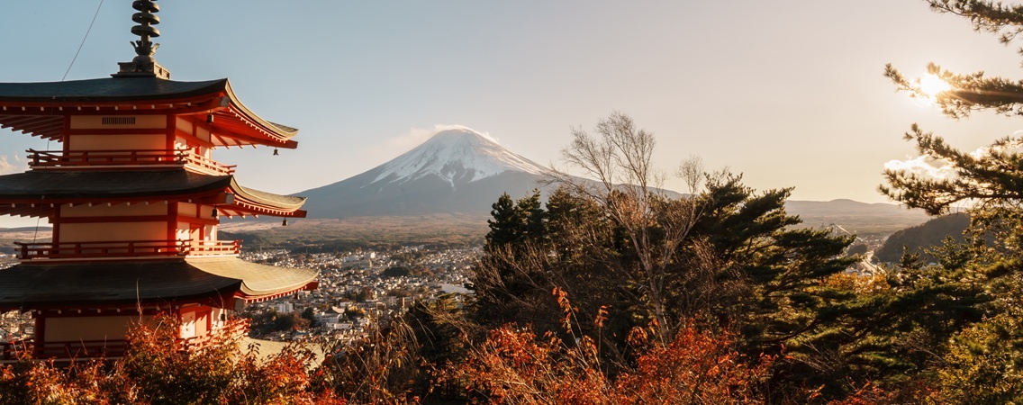 @Jo Panuwat D/Shutterstock