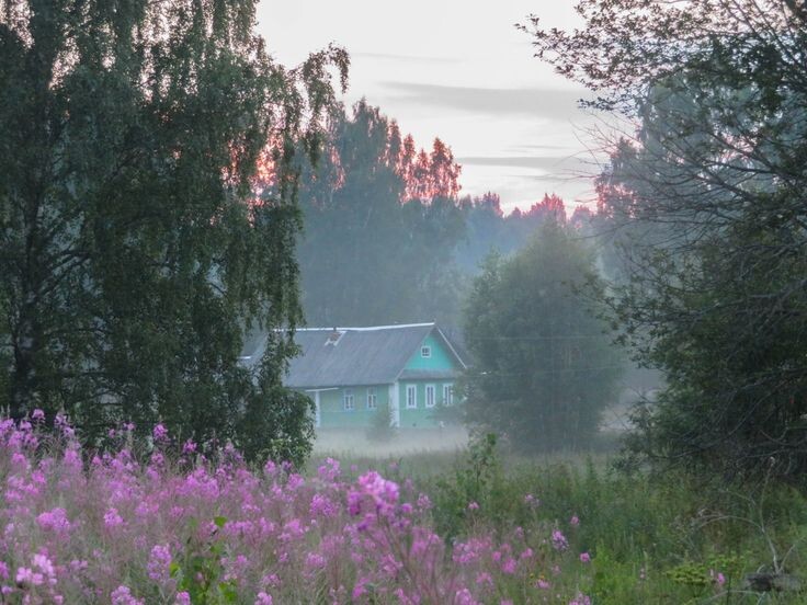 Яндекс.Картинки