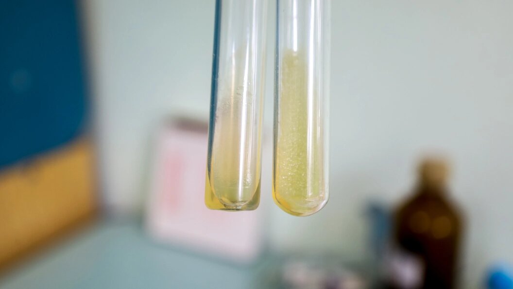    Фото: Elena Mayorova/Global Look Press