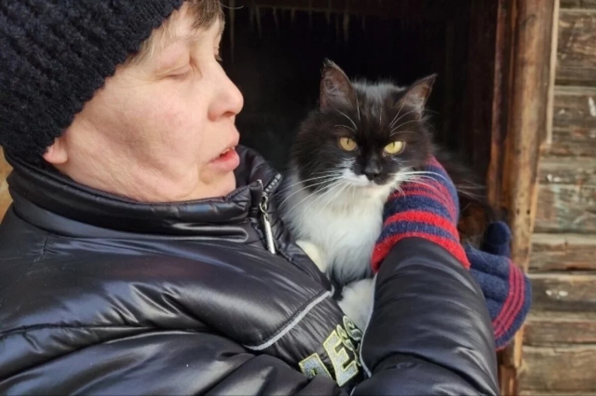    14 животных погибли при пожаре в приюте в свердловском городе Березовский