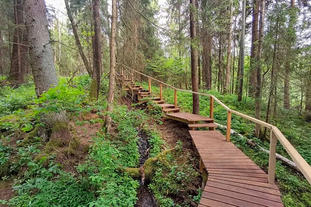    Фото: "Яндекс Карты"