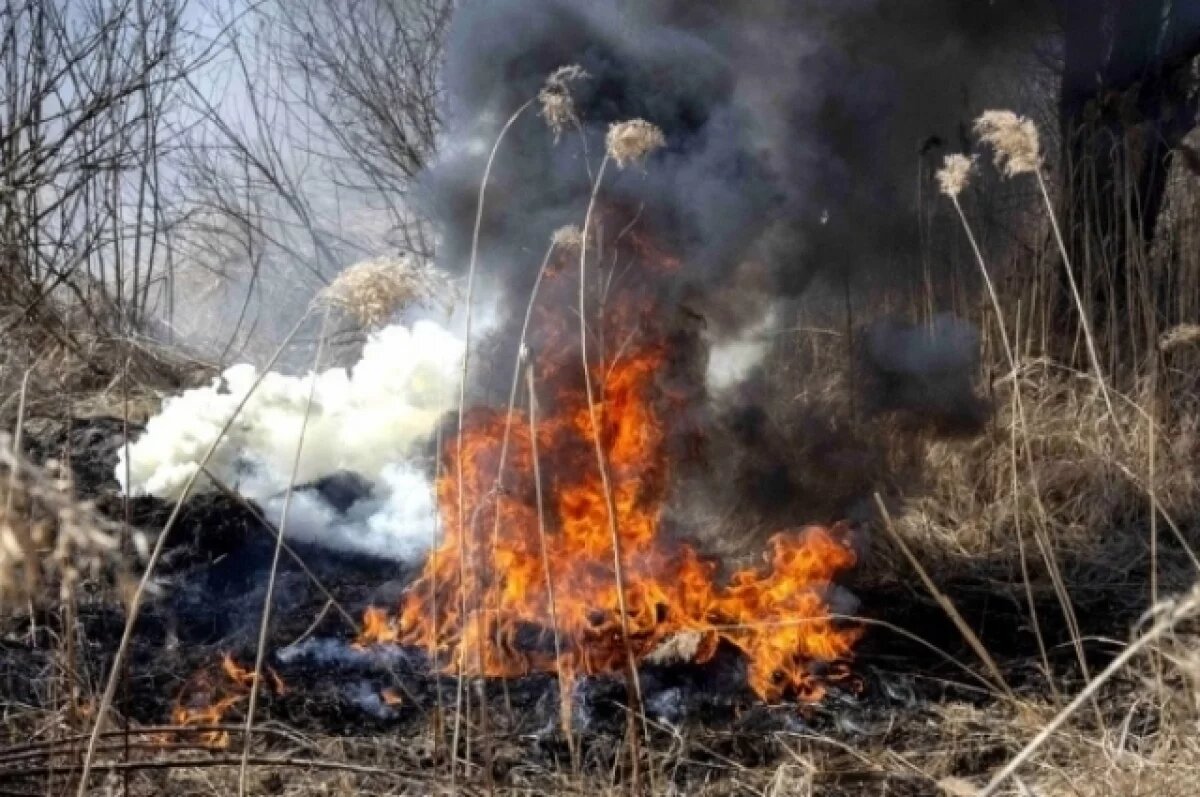    Пострадавшего от пожара волгоградца оштрафовал суд