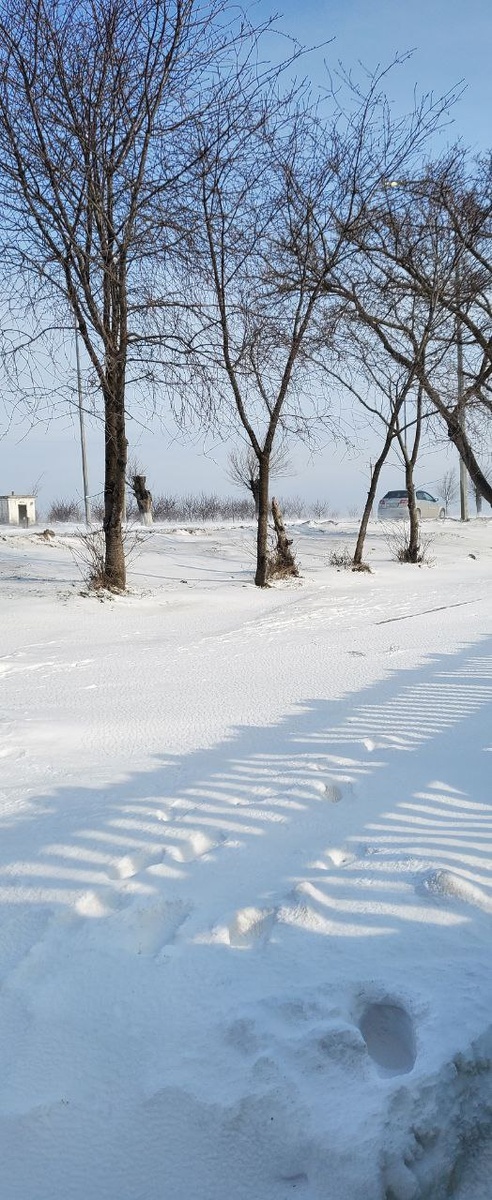 Снег в Старом Крыму