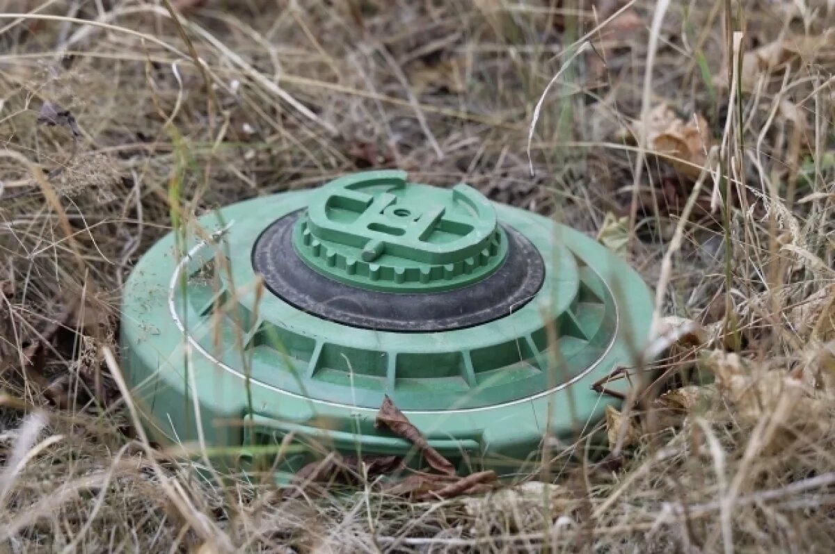   Противотанковая мина ВСУ.