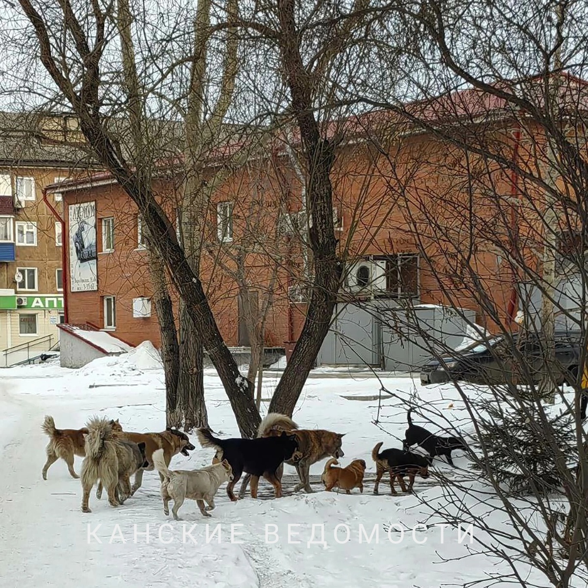 Фото из архива «КВ».