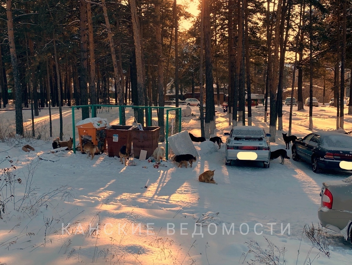 Фото из архива «КВ».