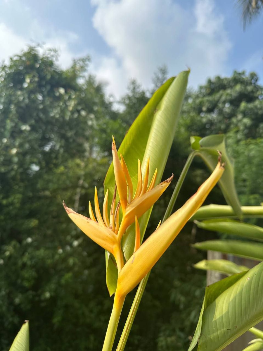 фото с тг канала Морея