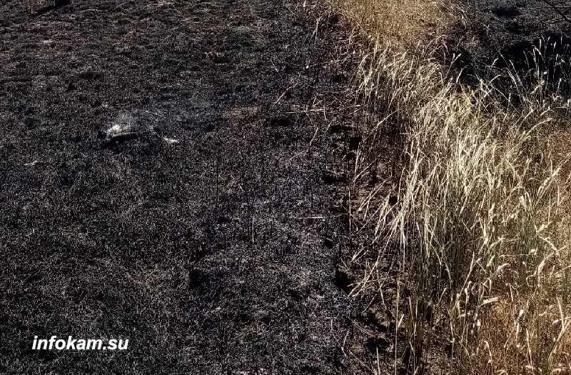    Последствия степного пожара (фото использовано в качестве иллюстрации)