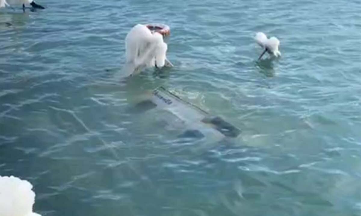    Скриншот видео t.me/PortNews_ru