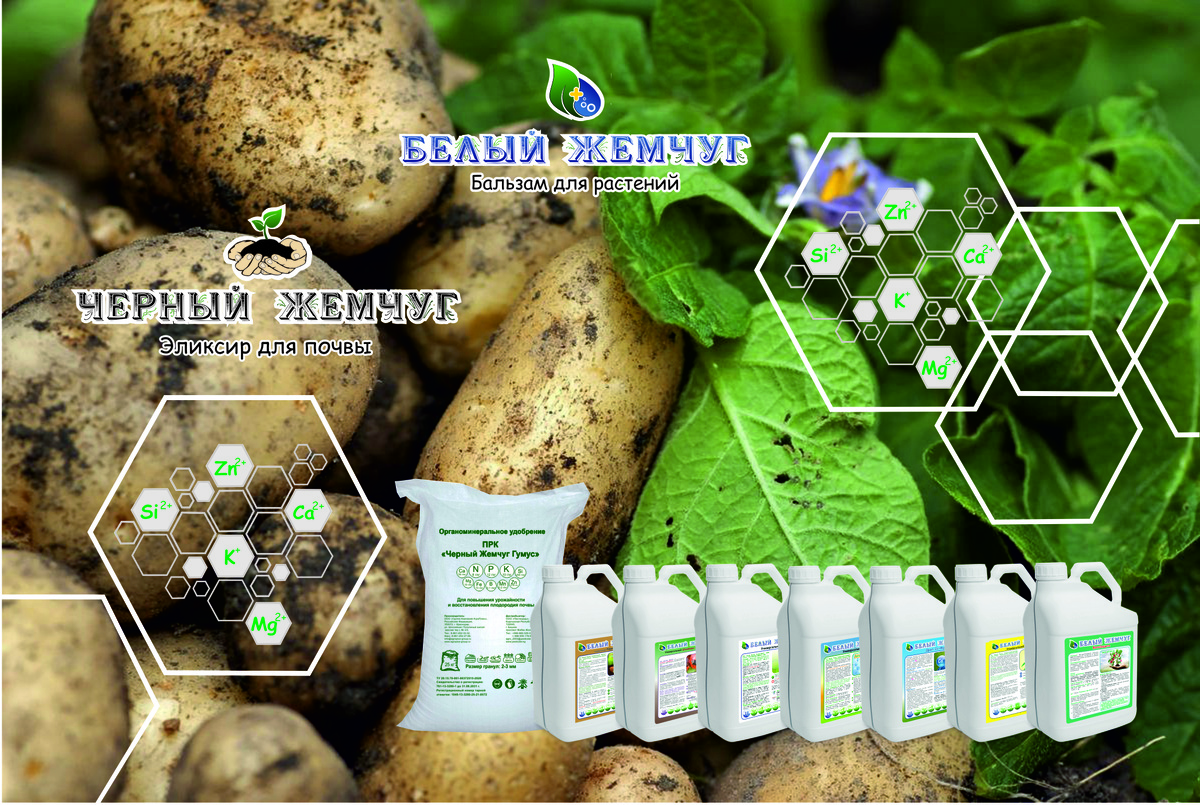 Удобрение_картофеля