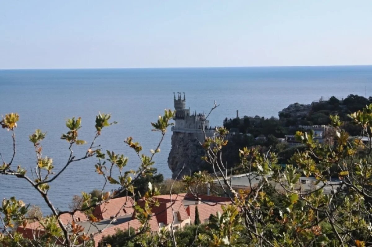    Живодёр объяснил, почему сбросил кошку с «Ласточкиного гнезда»