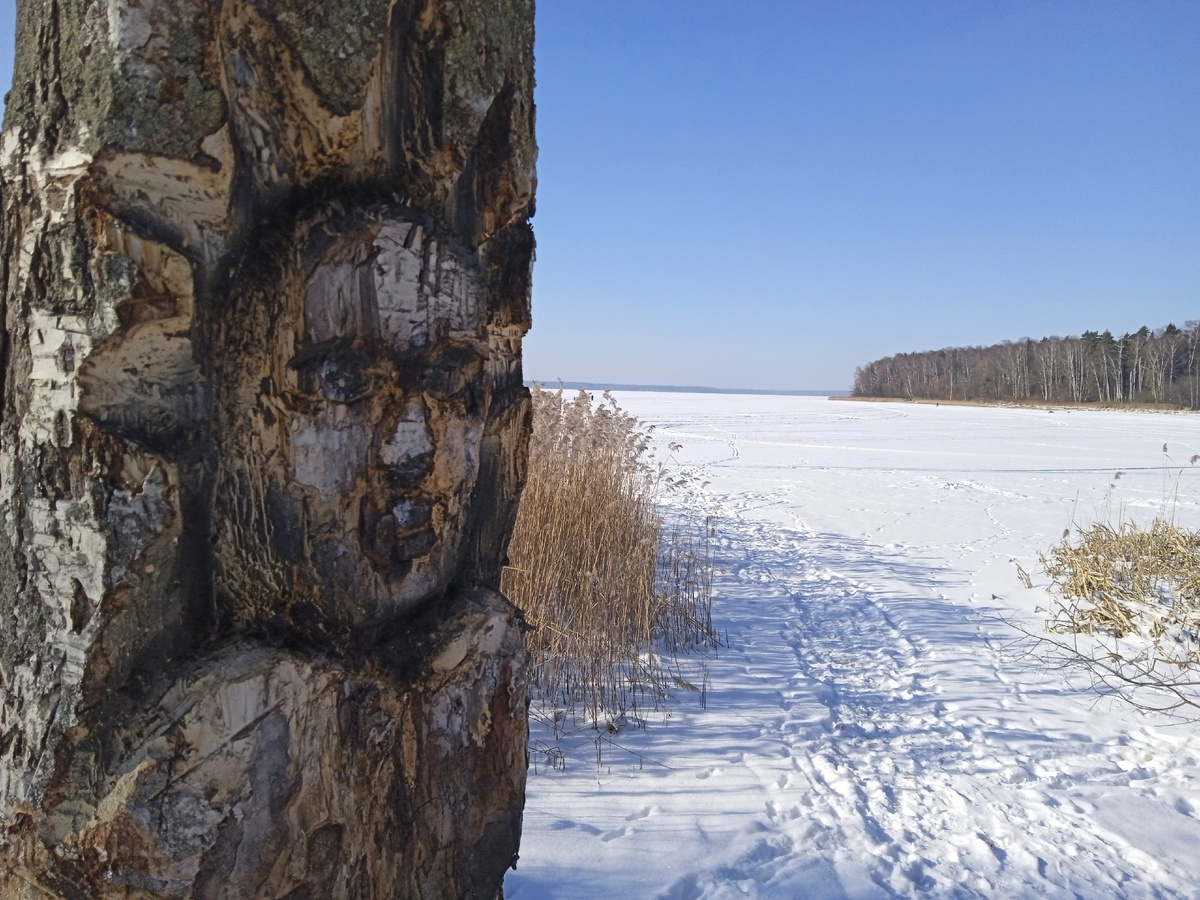 А фоточка моя. Сделал недавно на Учинском водохранилище. Пока на лыжах катался.
