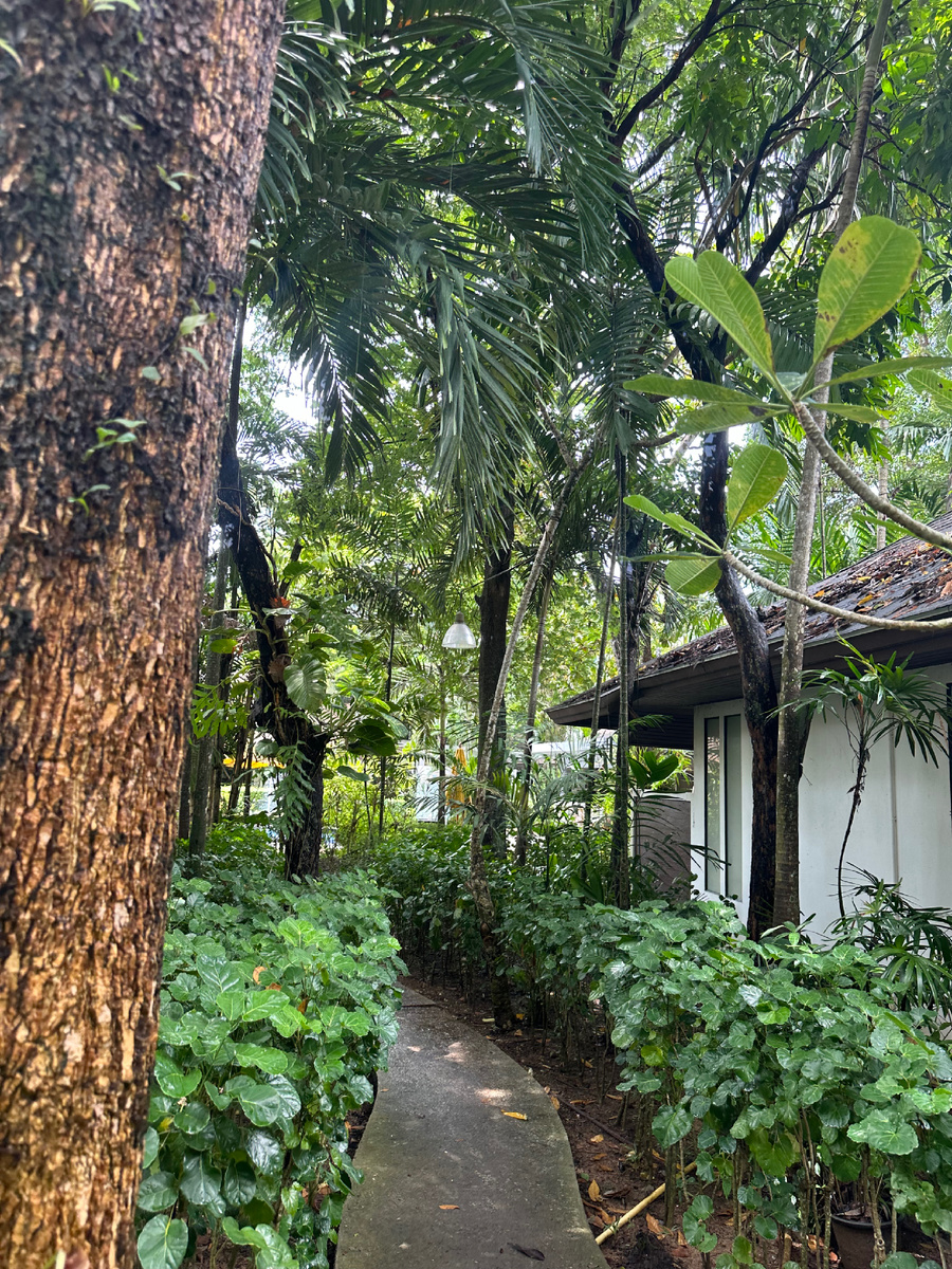 Территория и Отель на пляже Най Янг