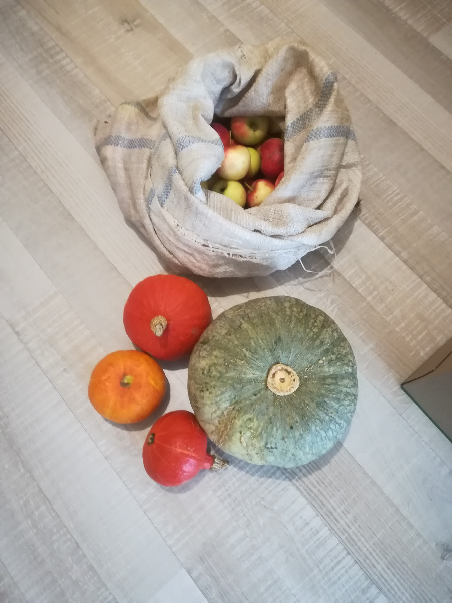 Маленькие тыковки - это "Ишики кури"