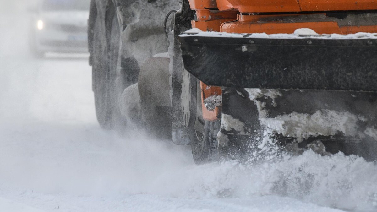    Фото: Ilya Moskovets/globallookpress.com