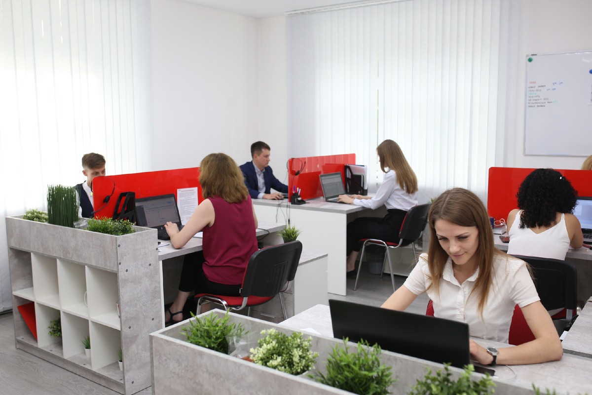 Команда компании Повесток.нет