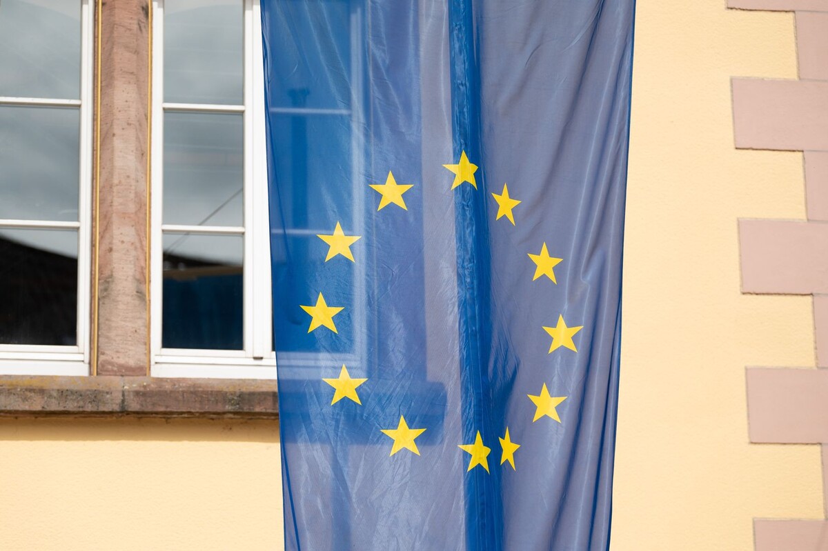     / Источник: © Global Look Press