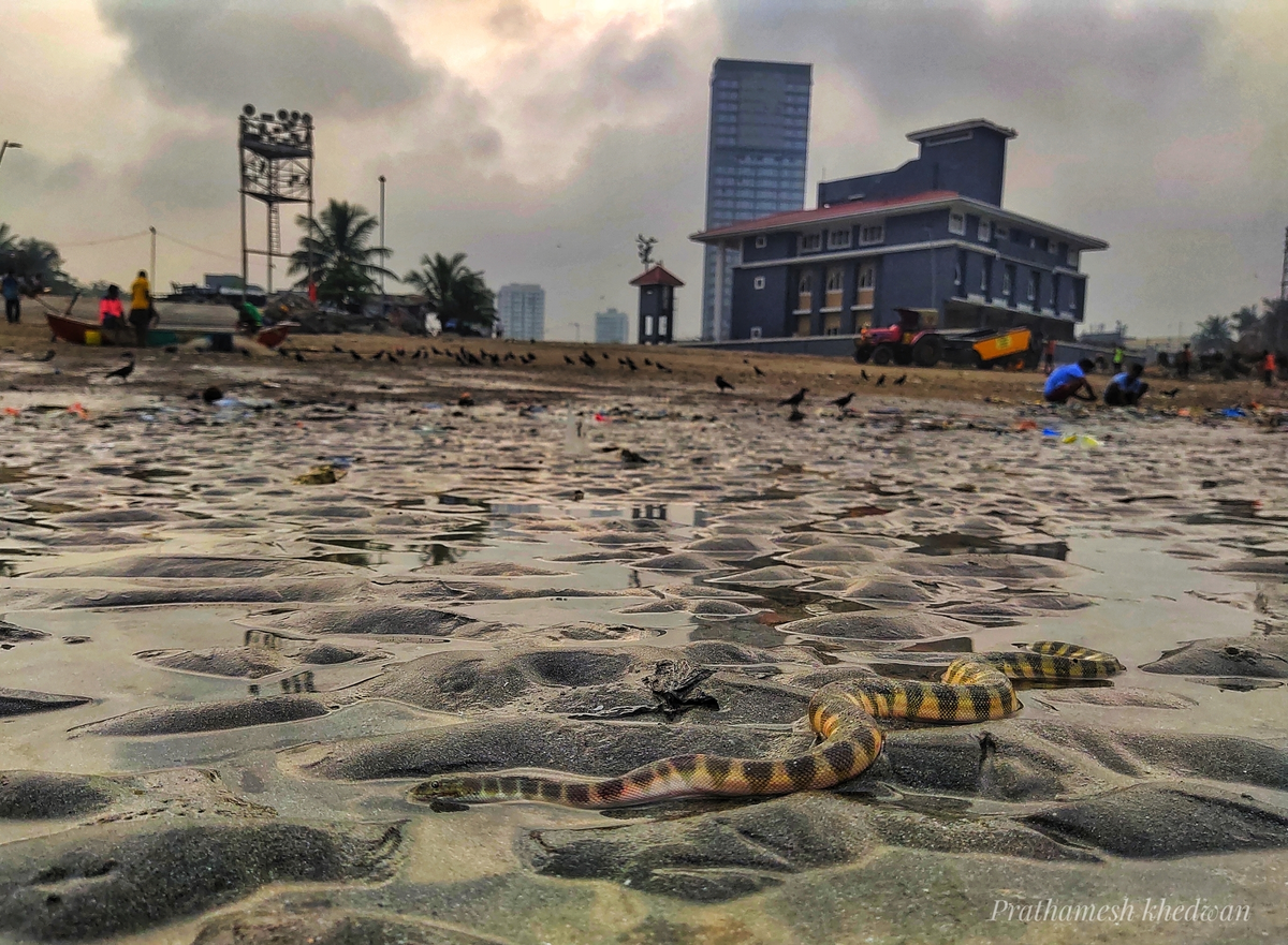 ��������� ������, ���� �� ����� �� ���� ��������!..