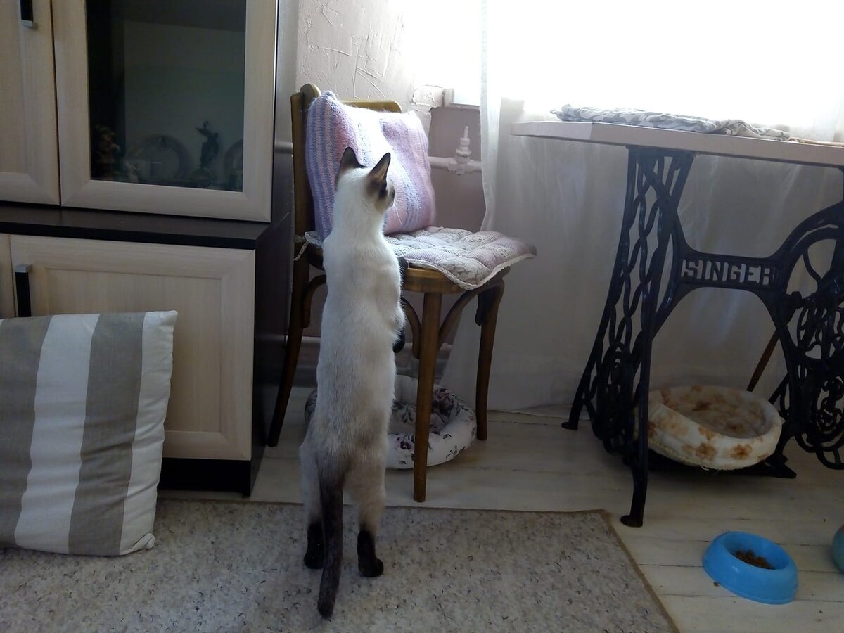 Скажи, там цель видна? Я что-то устала ее высматривать