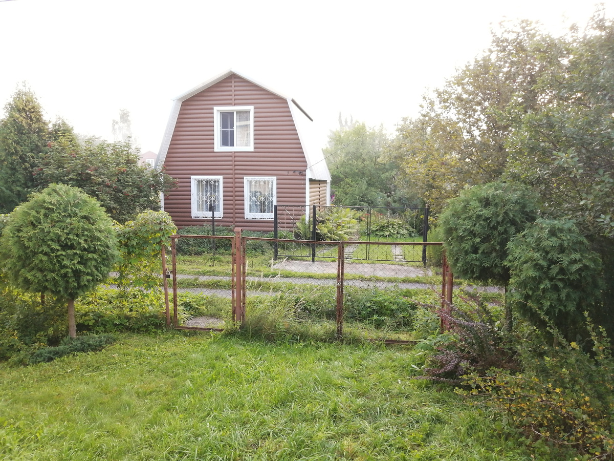 В зоне видимости три туи. А в других трёх я стою на стремянке и делаю это фото