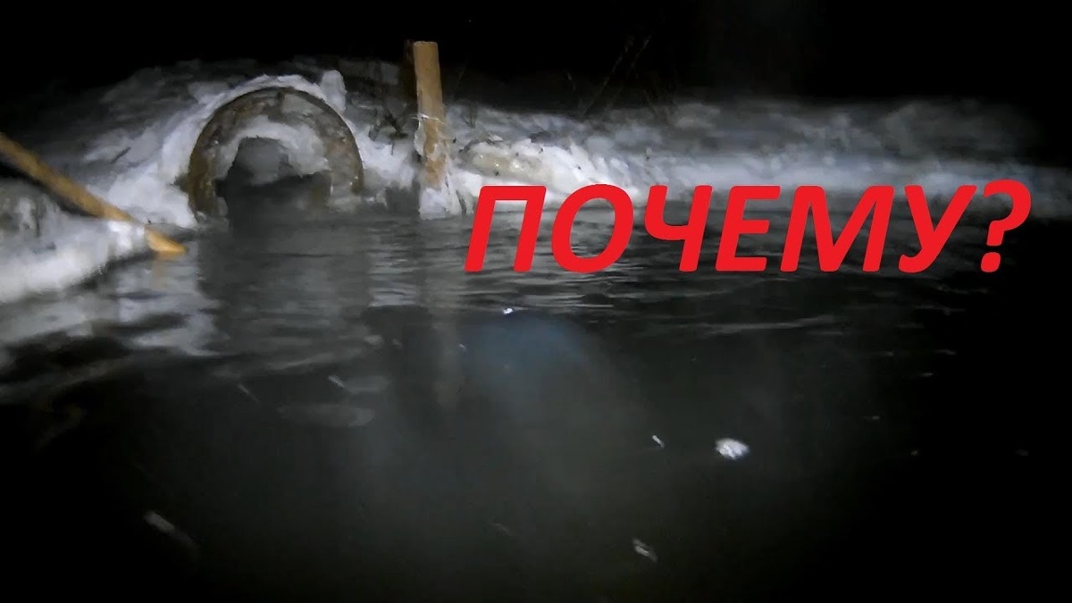 Замор рыбы зимой