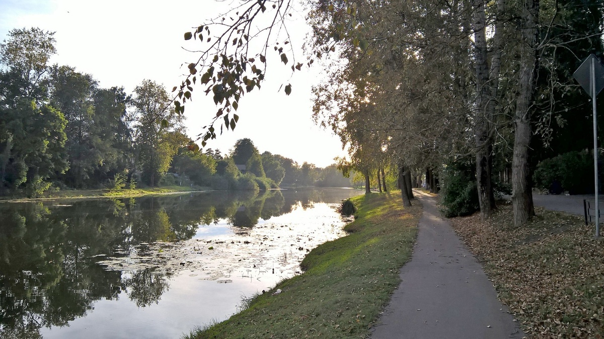 20 сентября 2017 года. Большой Немчиновский пруд до реконструкции набережной и ещё чистый. Личный архив.