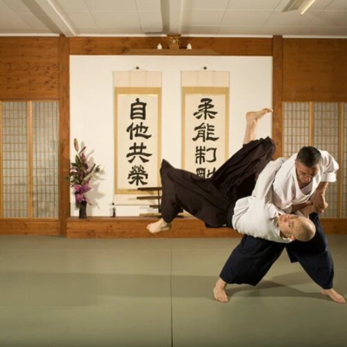 Фото с сайта https://martialarts.fandom.com/wiki/Aiki-jūjutsu