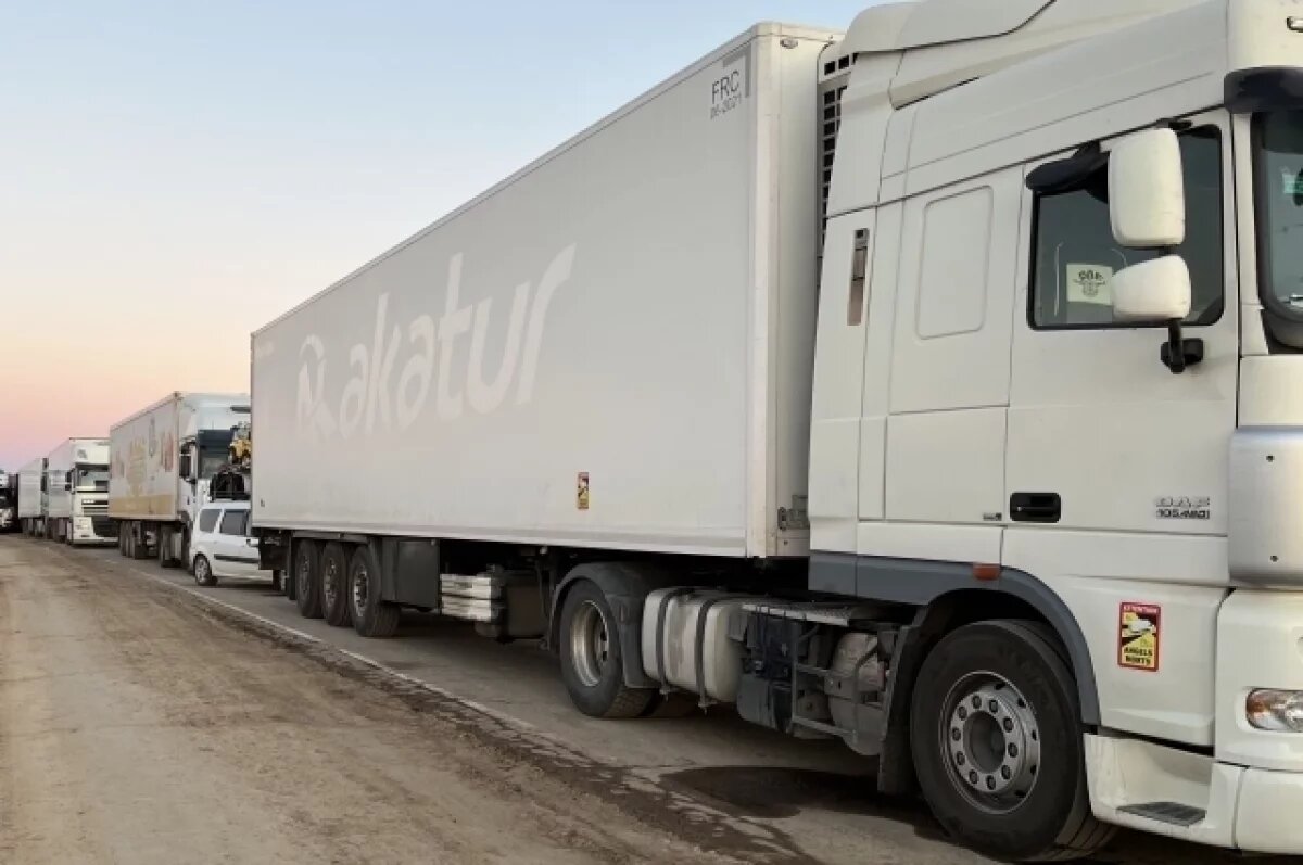    В Ростове 50 перевозчиков обратились в суд из-за грузового каркаса